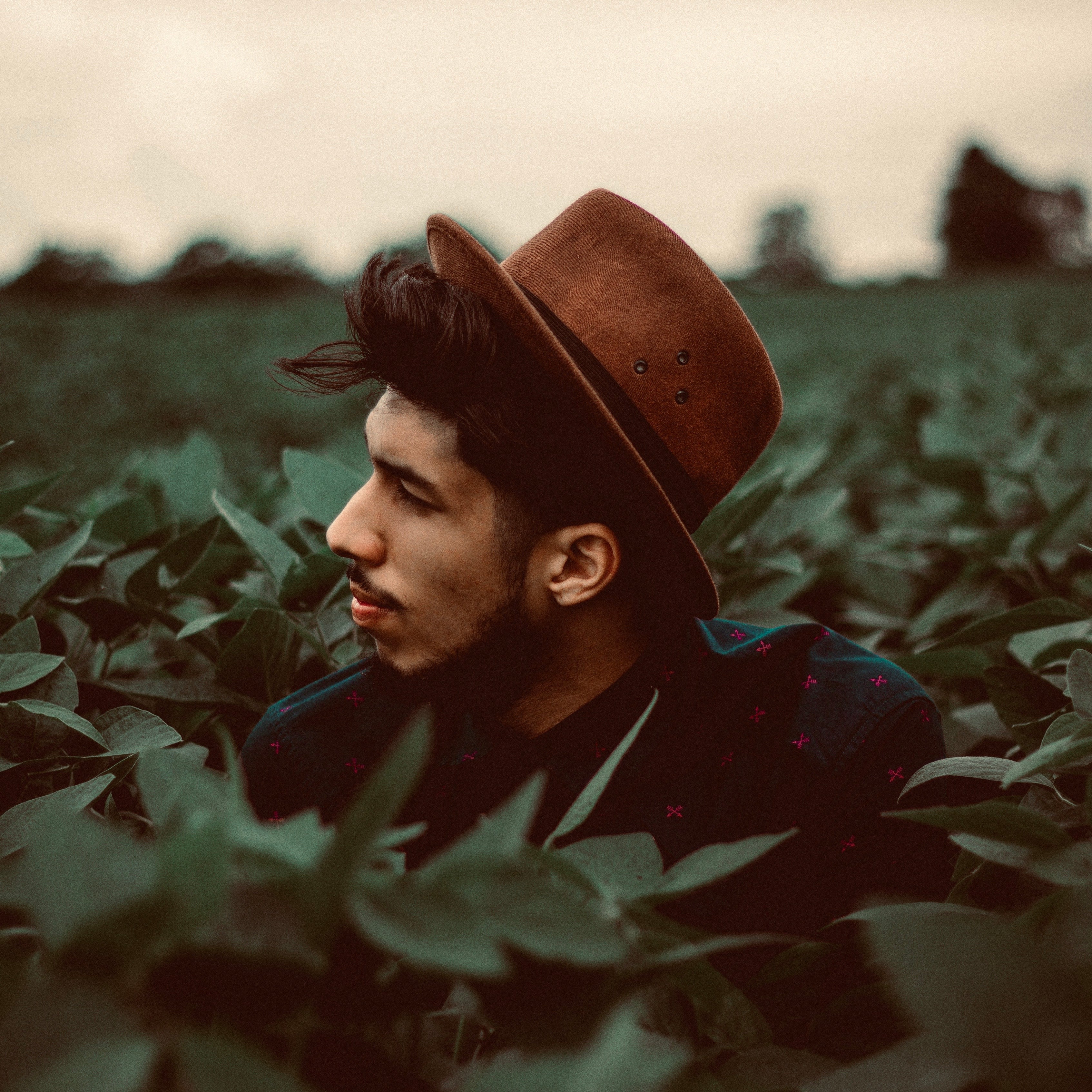 How to grow a beard - the first timer. Bearded man